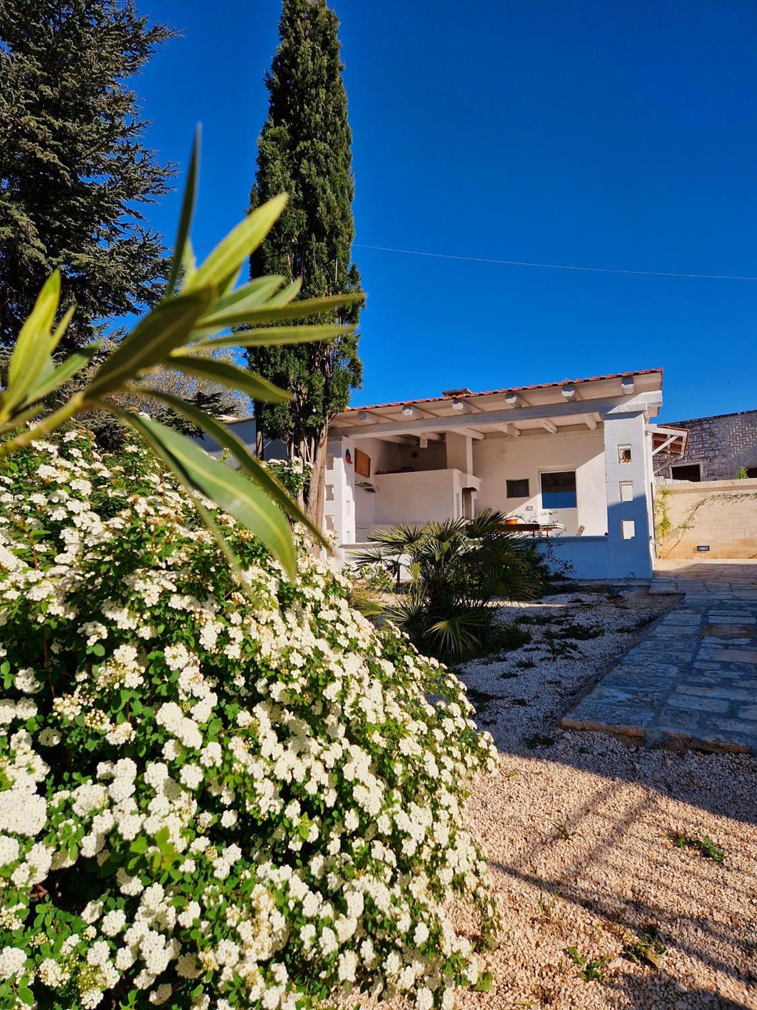 Villa Anna Holiday House Selva Di Fasano Exteriér fotografie